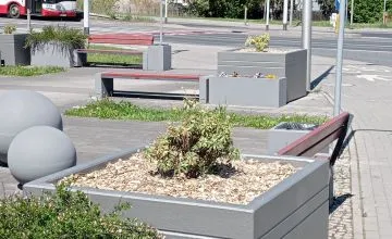 Pielęgnacja i obsadzanie donic na placu Konstytucji 3-go Maja